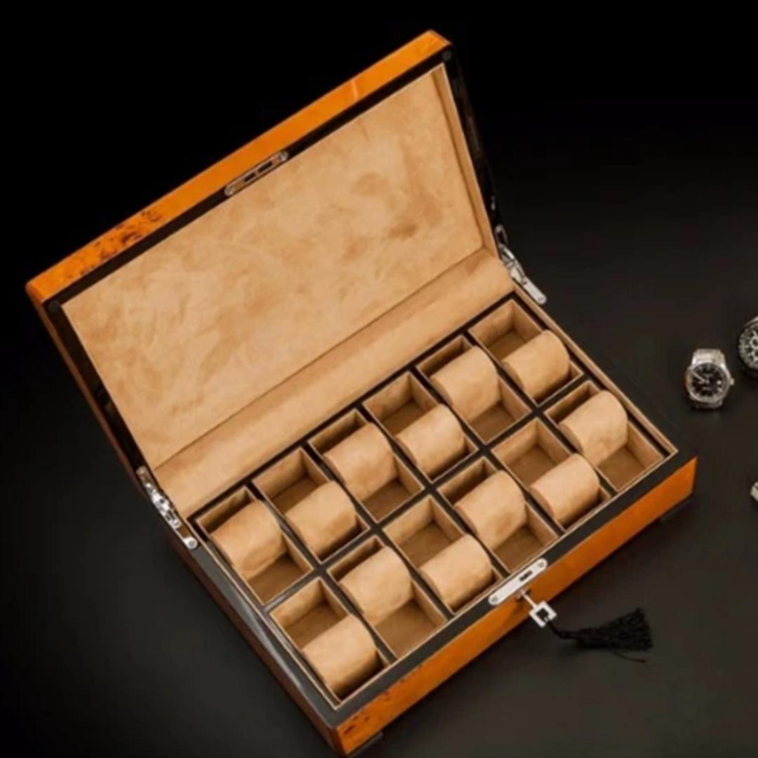 12 watches in winder